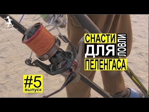 Видео: Отличные снасти для морской ловли пеленгаса от фирм Colmic, Trabucco, Daiwa и Shimano. Выпуск #5