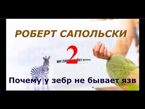 Видео: Роберт Сапольски. Почему у зебр не бывает язв 2. Перевод студии СТАХАНОВ2000