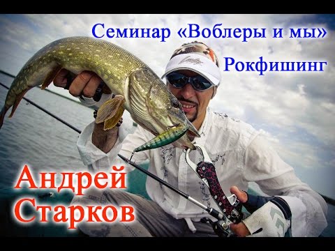 Видео: "Воблеры и мы". Семинар Андрея Старкова. Часть 1