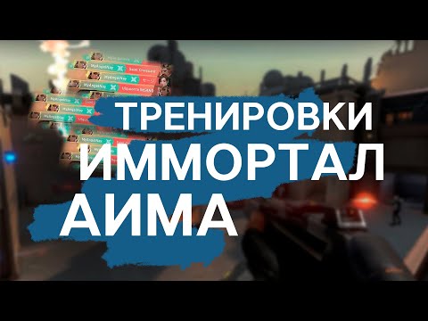 Видео: ТРЕНИРОВКИ ИММОРТАЛ АИМА | Дорога к Радианту #2