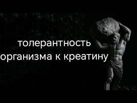 Видео: Нужен ли отдых от использования креатина? 