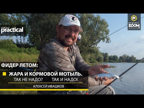 Видео: Фидер летом: жара и кормовой мотыль. Так не надо? Так и надо! Алексей Ивашков. Anglers Practical