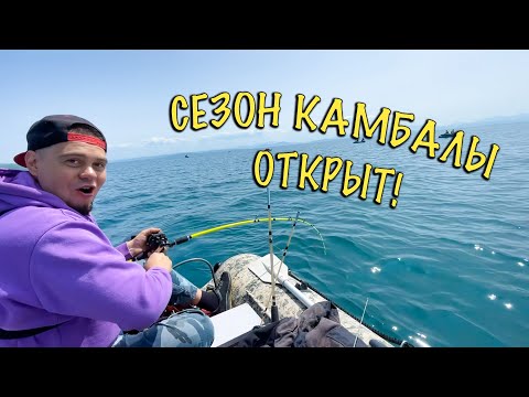 Видео: Сезон камбалы открыт!  Морская рыбалка на лодке.