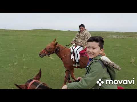 Видео: Қырға барсам