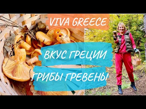 Видео: Вкус Греции  • Грибы Гревены • Греция