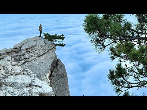 Видео: КРЫМ! Приехали на АЙ-ПЕТРИ и ОБАЛДЕЛИ! Что ТВОРИТ природа! Море из облаков. Такое вы редко увидите
