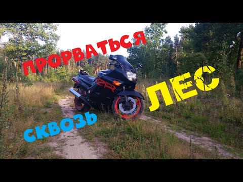 Видео: Прорыв сквозь лес,на спорт туристе ззр 1100