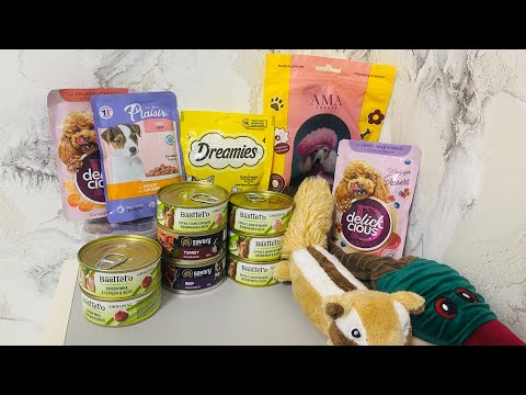 Видео: покупки из зоомагазина 