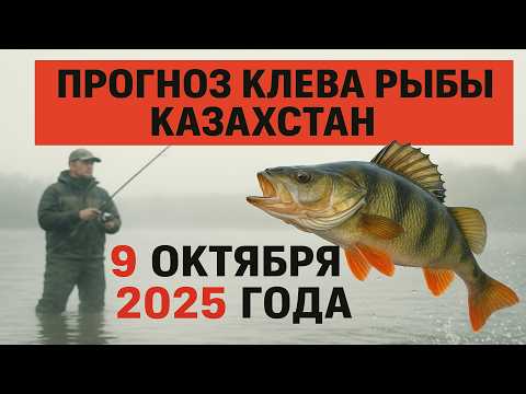 Видео: ПРОГНОЗ КЛЁВА в Казахстане на 9 октября 2025 года. Бросай все и на рыбалку!