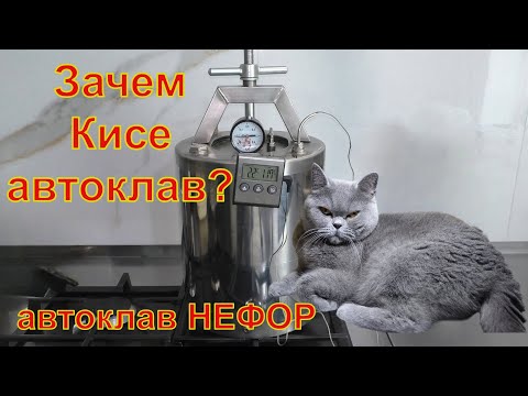 Видео: Автоклав  для нашей Кисы. Автоклав НЕФОР.