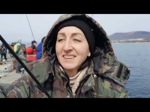 Видео: 19.03.2022.Приморский край Находка.Минтай атакует .#рыбалка#рыбалка2022 #ловляминтая#минтай #находка