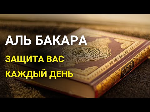 Видео: Аль Бакара - ЗАЩИТА ВАС И ВАШЕГО ДОМА КАЖДЫЙ ДЕНЬ