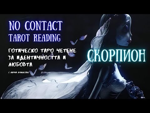Видео: 🖤💀СКОРПИОН | Любов, която отказва да умре… 🪦 No contact #таро #tarot #nocontact #scorpio #скорпион
