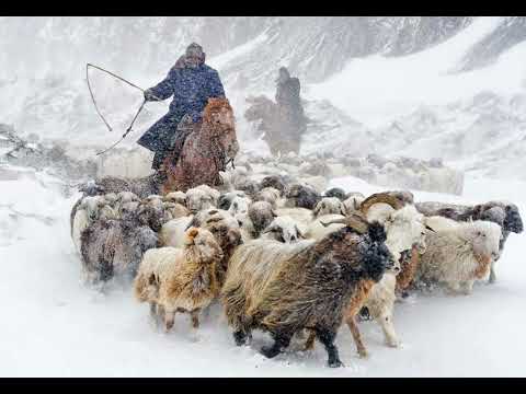 Видео: Абайдың табиғат лирикасы