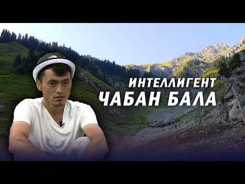 Видео: КОЙ БАККАН ЮРИСТ ЖИГИТ. Аксы району Авлетим жайлоосу.