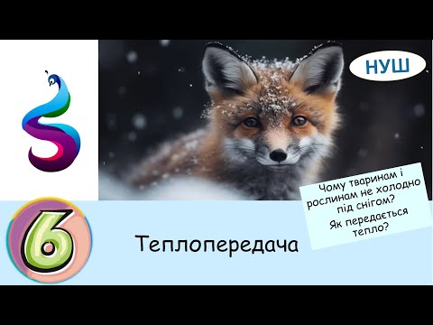 Видео: Теплопередача