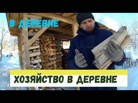 Видео: Индюки, куры, перепелки // Хозяйство в деревне // Январь 2019