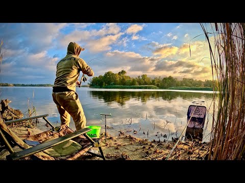 Видео: Чудова Фідерна рибалка на РУСЛОВОМУ ДНІПРІ!