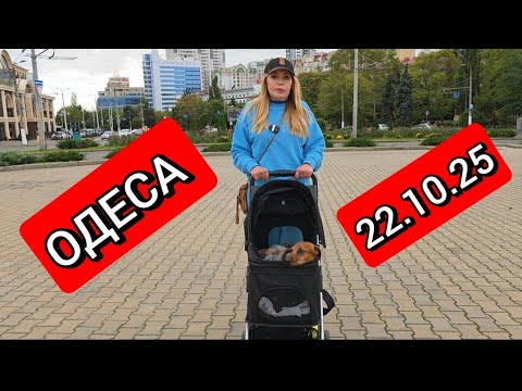 Видео: HOLLYWOOD ❗ЗБИРАЄМОСЬ В БУКОВЕЛЬ❗АРКАДІЯ ❗