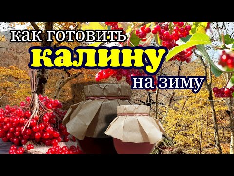 Видео: Готовим калину на зиму/вкусно,быстро и полезно