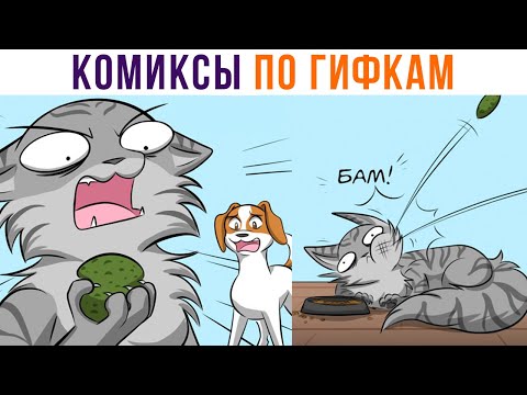 Видео: Комиксы по гифкам. КОТА ДОВЕЛИ))) | Мемозг 878