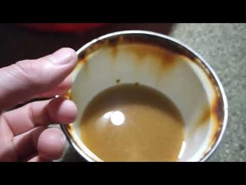 Видео: Секрет активации яиц артемии для мальков тернеций Гло . Болезнь барбусов и Боесман . Поставил садок