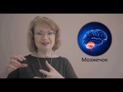 Видео: Как заниматься на доске Бильгоу вводный урок