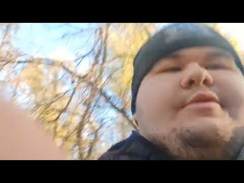 Видео: Как я ехал за грибами