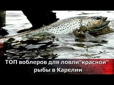 Видео: Лучшие воблеры для Карелии