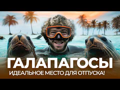 Видео: Галапагосы: райское место для отдыха | Тихий океан, природа, животные, пляжи, мусор и туристы