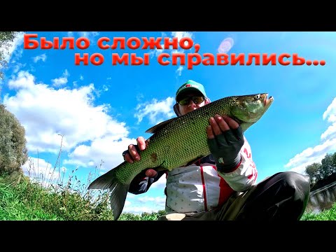 Видео: Рыбалка на спиннинг. Самые яркие моменты сезона 2025.