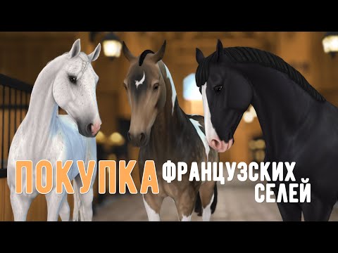 Видео: Покупка Французских селей | Star Stable