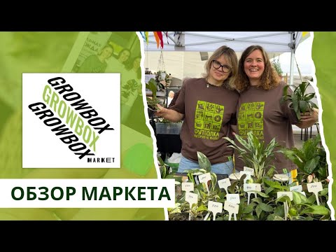 Видео: Обзор ГроубоксМаркета
