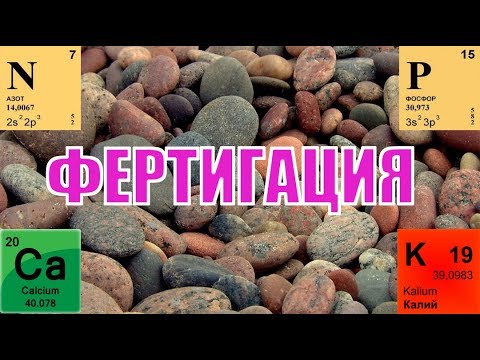 Видео: Питание малины и ежевики через капельное орошение