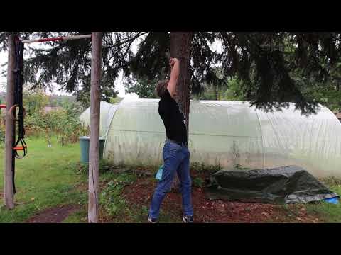 Видео: ГИМНАСТИКА для АВТОМОБИЛИСТОВ. № 1