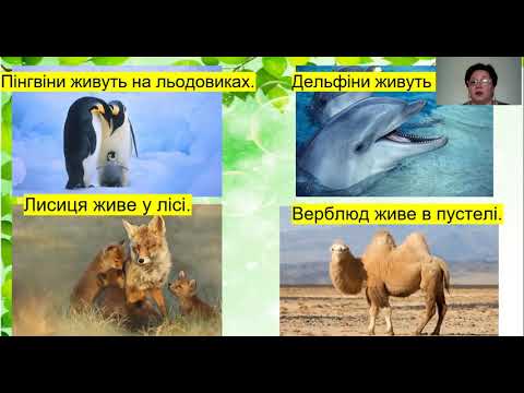 Видео: Я досліджую світ. 1 клас. Мандруємо планетою Земля
