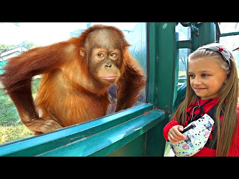 Видео: VLOG Зоопарк,  кормим ОБЕЗЬЯНУ и МЕДВЕДЯ