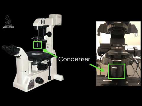 Видео: Юстировка микроскопа для оптимального качества изображения: освещение по Келеру