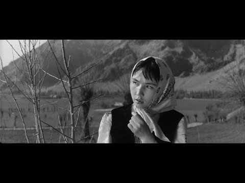 Видео: Самая послушная (1966) [4K] реж. Бекеш Абдылдаев, Леонид Гуревич