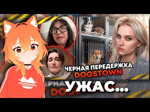 Видео: БАНША СМОТРИТ: Разоблачение собачьей передержки