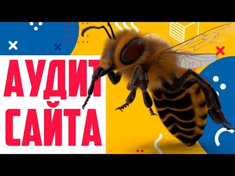 Видео: 🐝 Аудит сайта ⟪Медовый двор⟫ как делать не нужно!