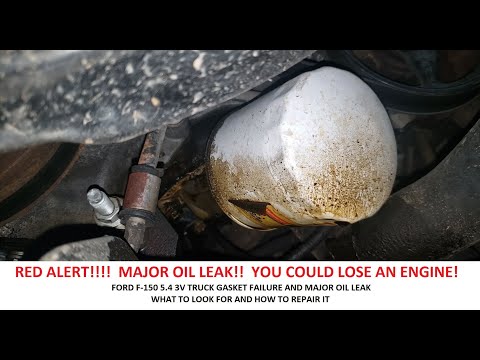 Видео: ⚠️⚠️⚠️⚠️⚠️ FORD F-150 5.4 3V ГРУЗОВИКИ СЕРЬЕЗНАЯ УТЕЧКА МАСЛА НА АДАПТЕРЕ МАСЛЯНОГО ФИЛЬТРА И КАК...