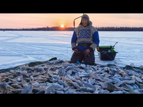 Видео: ШОК!! НЕ КЛЕВАЛО АЖ ЦЕЛЫХ ДВЕ МИНУТЫ.