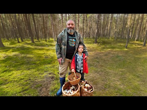 Видео: Собираем грибы в Тверской области. Михаил и Ян Вишневские