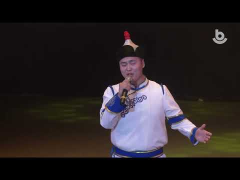 Видео: V-й юбилейный межрегиональный конкурс молодых исполнителей эстрадной песни "Серебряный лебедь"