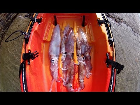 Видео: Время ловли кальмаров — лови и готовь — жареные кольца кальмаров в кляре