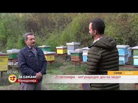 Видео: Како да препознаеме разлика помеѓу природен и фалсификуван мед?