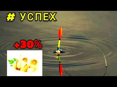 Видео: НАСАДКА КОТОРАЯ БУДЕТ ПРИВЛЕКАТЬ РЫБУ ВСЕГДА!!!  РАБОТАЕТ БЕЗОТКАЗНО!!!