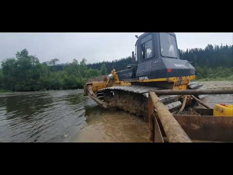 Видео: Шантуй (болотник). Ищем озеро в тайге.