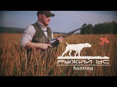 Видео: Новый сезон!